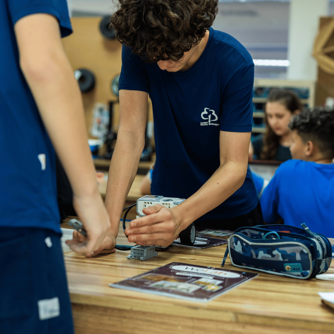 fotos elvira brandao 1